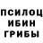 Псилоцибиновые грибы Psilocybe Anna Anselm